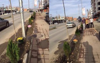 Gjest i mirë i qytetarëve, pastrojnë dhe gjelbërojnë rrugën “Marie Shllaku”