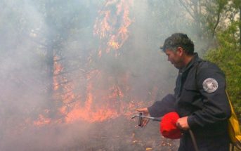 Kujdes nga zjarret, prokuroria nuk i falë zjarrvënësit