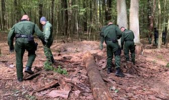 Një shqiptar gjendet i masakruar në mal, në Dölauer Heide të Gjermanisë