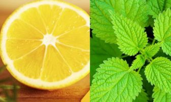 Hithra dhe limon për trajtimin e pagjaksisë