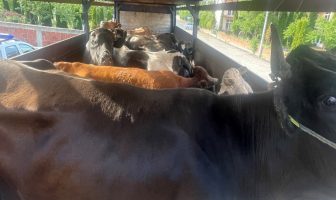 Policia Kufitare në Zhegër, rajoni i Lindjes, parandalojnë kontrabandë të mallrave