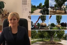 Florina Jerliu ngre alarmin për prerjen e drunjve në Parkun e Qytetit: “Gjilani nuk mund të zhvillohet duke humbur identitetin e tij të gjelbër”