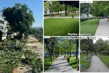 Bujar Nevzati akuzon pushtetin lokal për shkatërrimin e Parkut të Qytetit: Projekti ka nisur pa transparencë, pa debat publik dhe pa leje urbanistike