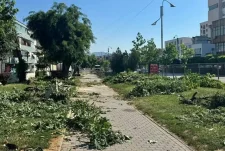 Sokol Haziri: Parku i Gjilanit po sakrifikohet në emër të një zhvillimi pa transparencë