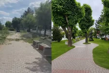 Masakrimi i Parkut të Qytetit dhe heshtja që trondit Gjilanin: Kur bien drunjtë shekullorë, bie edhe ndërgjegjja qytetare