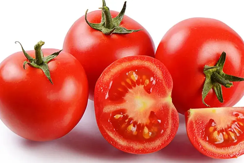Domatja  aleatja e përhershme e lëkurave të yndyrshme