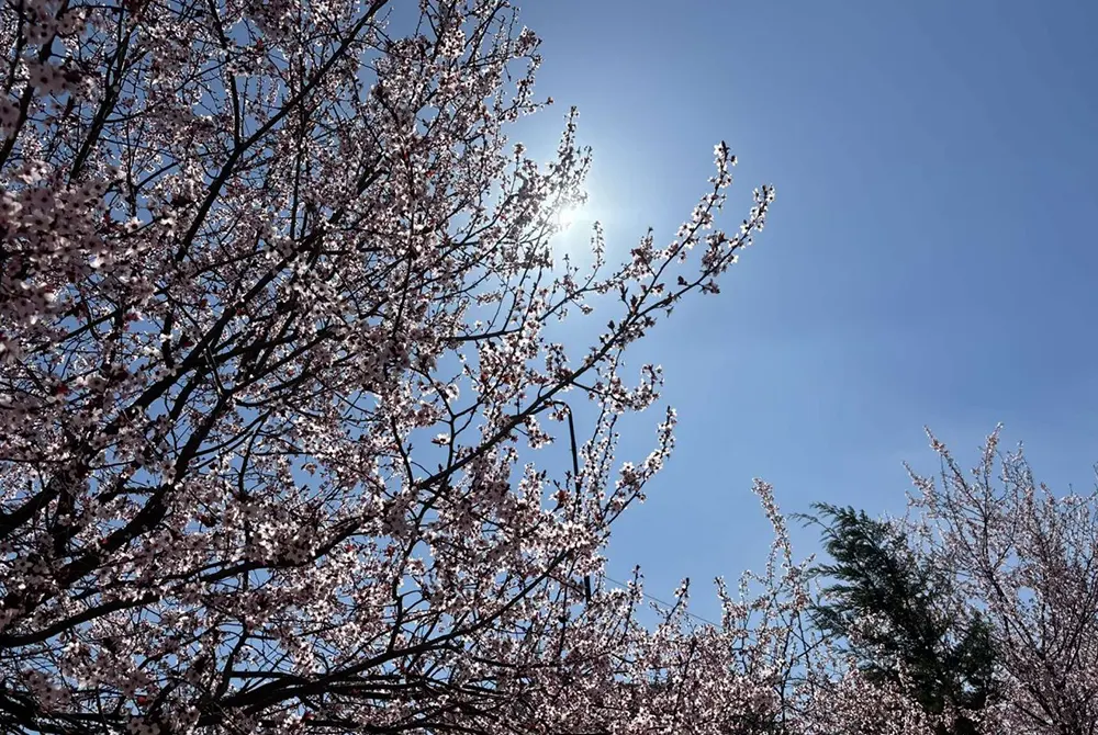 Parashikimi i motit për sot   Këto pritet të jenë temperaturat përgjatë ditës
