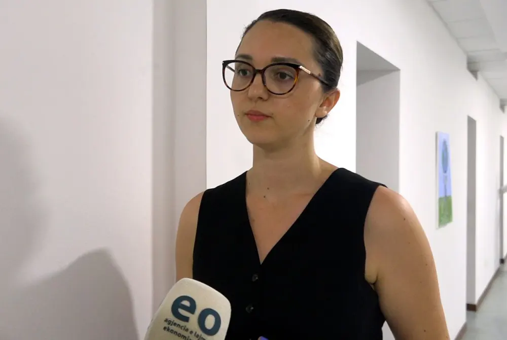 Kryeziu Hyseni  Opozita po na çon drejt një procesi të ri zgjedhor