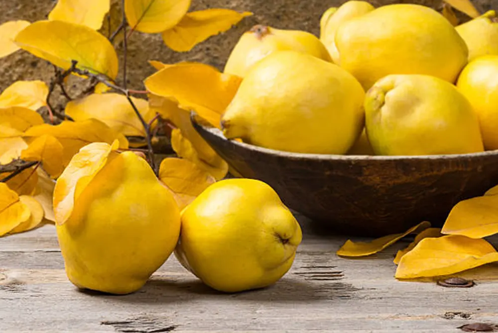 Fruti i stinës  çfarë duhet të dini për ftoin